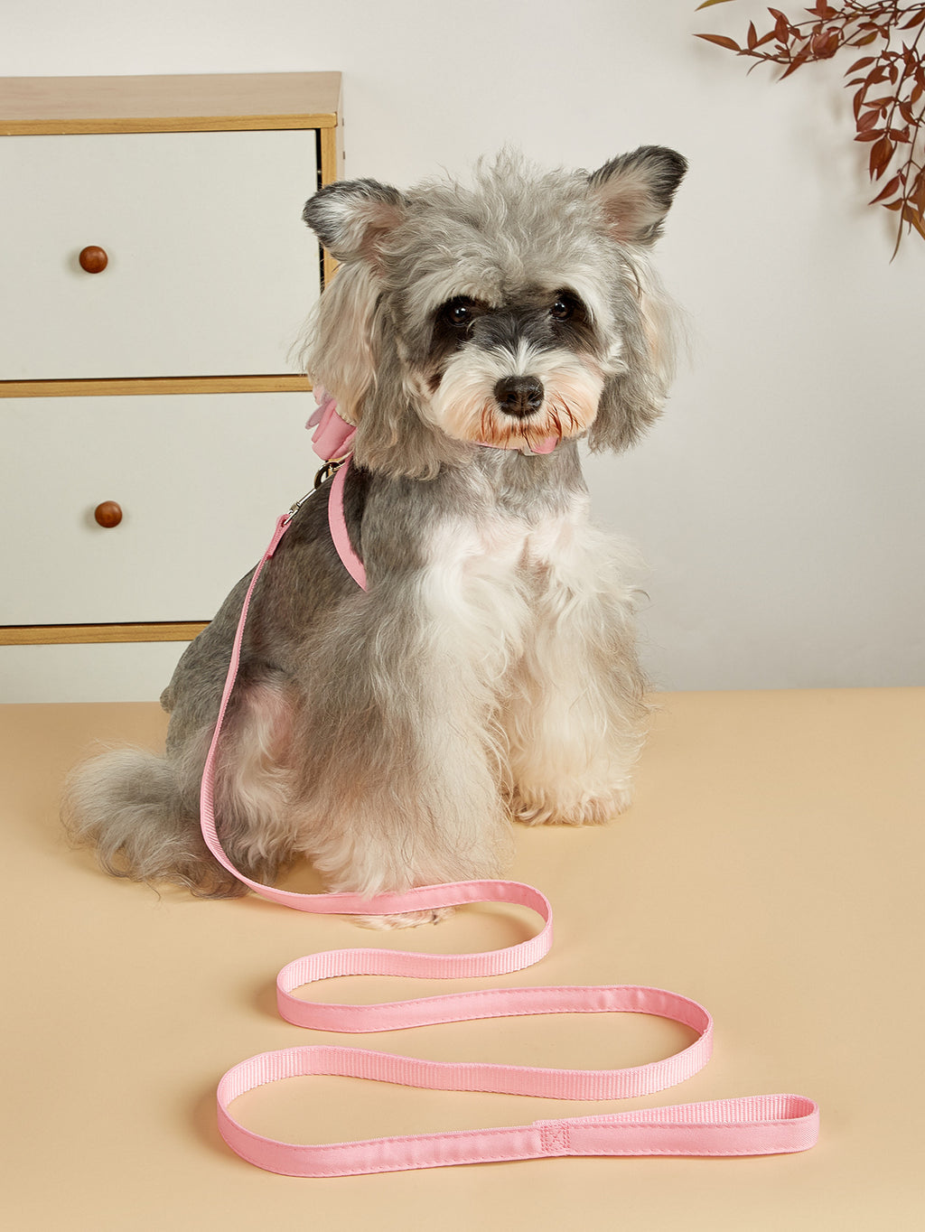 Cute Bee Cat Harness & Leash Set – Adjustable Soft Vest for Small Pets (S/M/L)