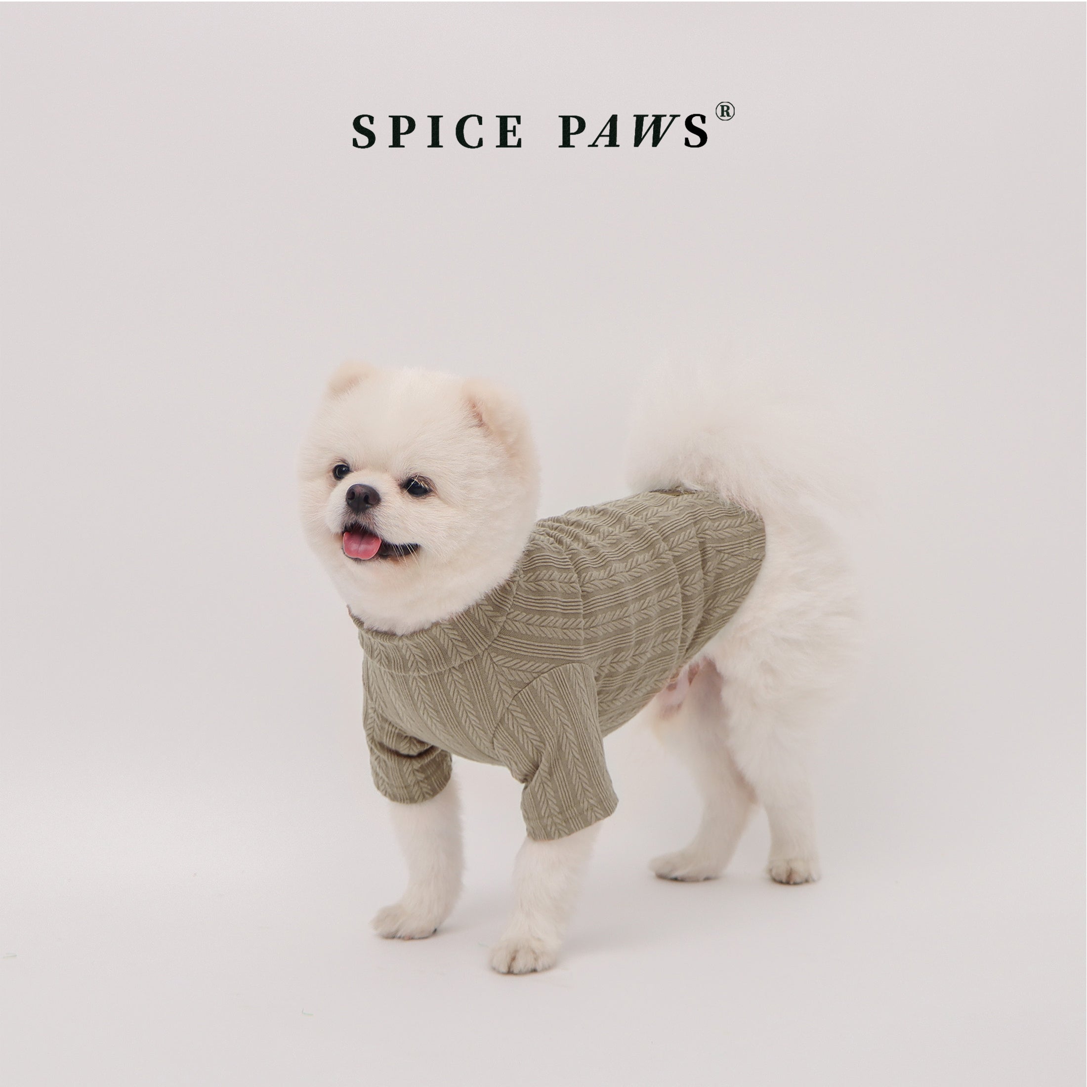 3种颜色外衣