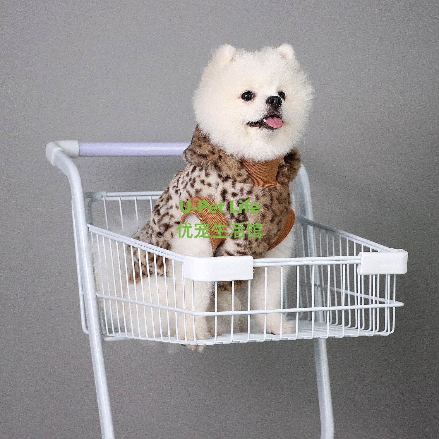 小狗衣服