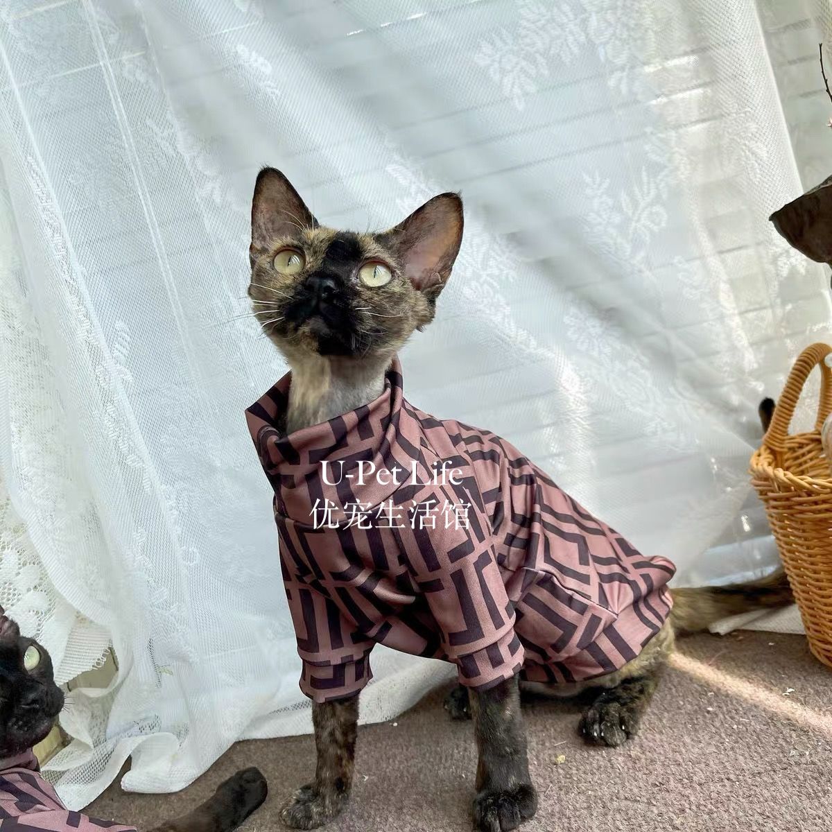 Stylish Hairless Cat Turtleneck Outfit – Warm Plaid Pet Jumpsuit for Sphynx Cats