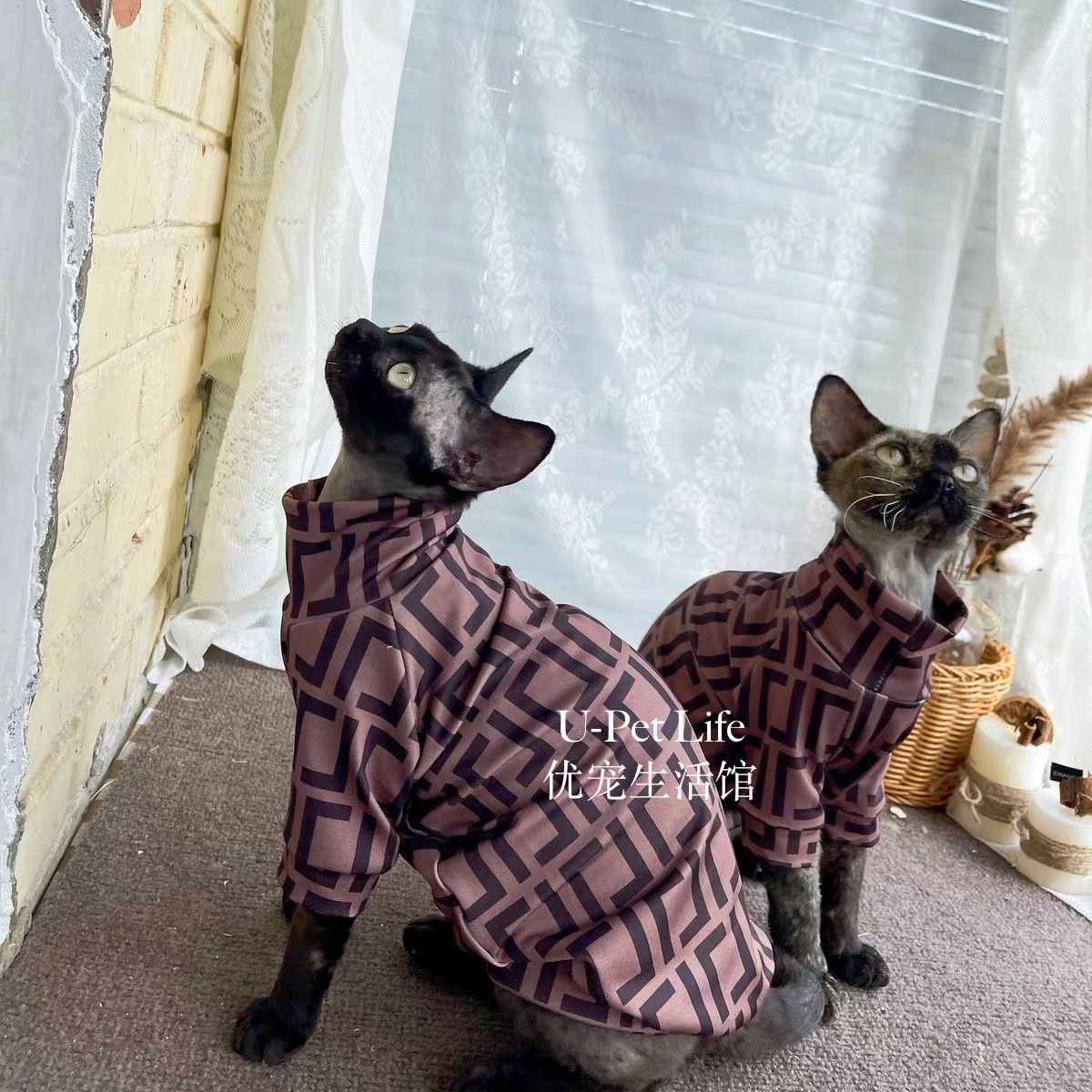 Stylish Hairless Cat Turtleneck Outfit – Warm Plaid Pet Jumpsuit for Sphynx Cats