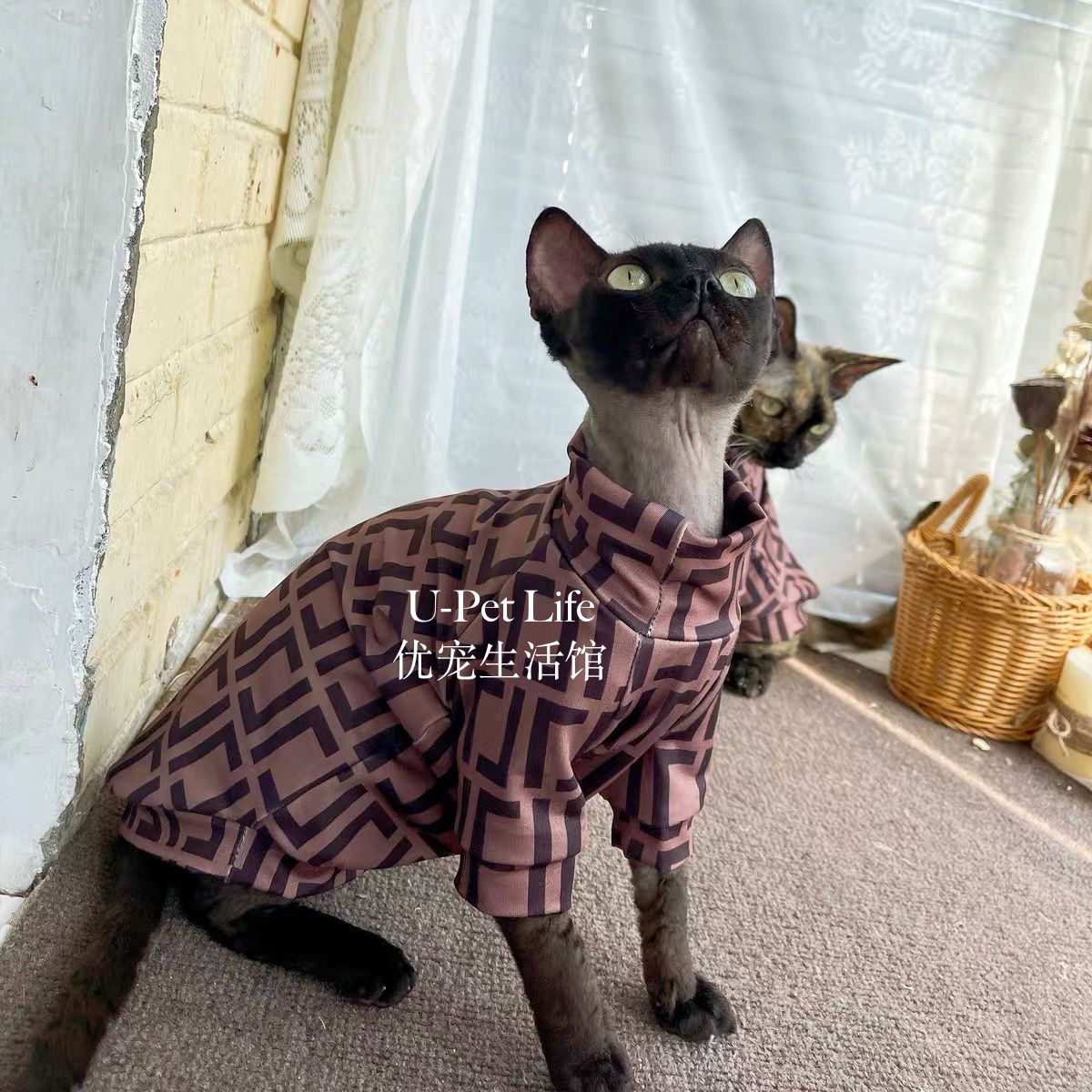 Stylish Hairless Cat Turtleneck Outfit – Warm Plaid Pet Jumpsuit for Sphynx Cats