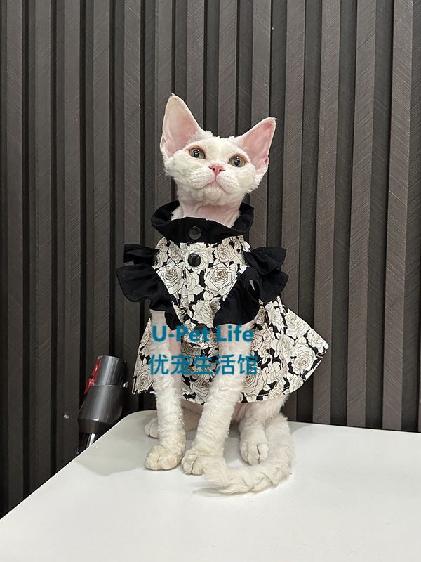 Elegant Floral Cat Dress – Vintage Style Pet Outfit with Ruffle Collar
