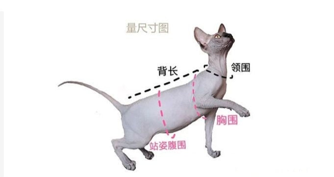 Floral Pet Dress with Ruffles – Cute Handmade Cat & Small Dog Princess Outfit
